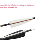 50 Pack Full Length Turkey Feather Archery Fletching Left Wing Feathers 8 To 11 Inches For DIY Arrows two arrows close-up