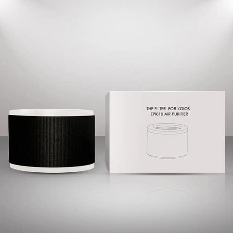 Compact Desk And Car Air Purifier With True H13 HEPA Filter, replacement filter with packaging, for desk or car use