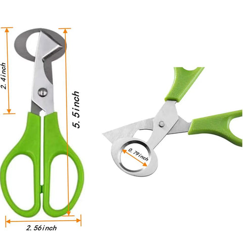 Close-up of stainless steel cutters with green handles for Quail Egg Storage Kit With 12 Grid Cartons And 2 Stainless Steel Cutters For Camping And Picnics.