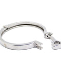 Stainless steel 4-inch tri-clamp with wing nut and single pin, front view.