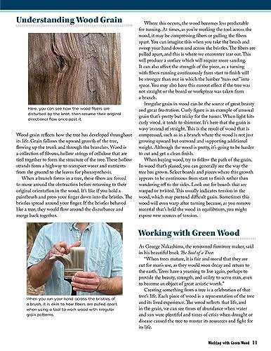 Book page spread titled Understanding Wood Grain showing a close-up of a hand holding a small wood sample.