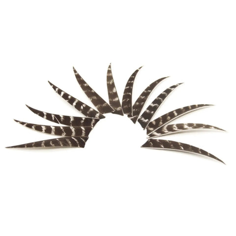 Arrow Fletching Shield Type 4 Inch Or 5 Inch Natural Stripe Turkey Feather Fletching Kit 50 Pack For DIY Arrows arranged in fan shape