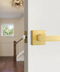 Close-up of a single-sided gold dummy door handle on an interior door, showcasing heavy duty satin brass finish for decor.