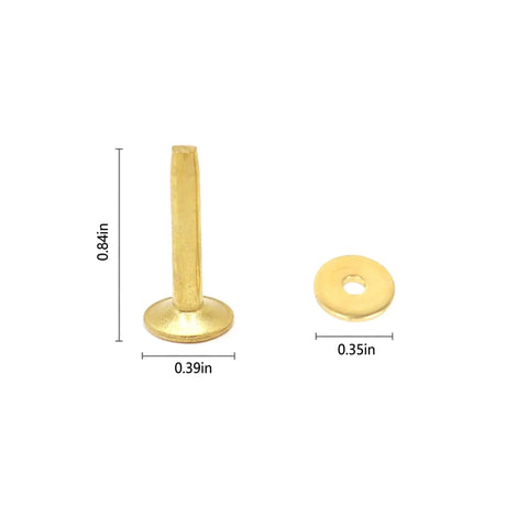 Fifty Pack Dang Solid Brass Stud Rivets And Flat Washers Size 12 Three Quarter Inch Long showing rivet and washer dimensions.
