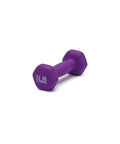 Hella Grippy Neoprene Hexagon Dumbbells Pair Of 3 Pound Hand Weights In Purple for home gym strength training, single dumbbell shown.