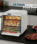Heavy Duty Ten Tray Food Dehydrator Machine That Runs Smooth Like A Champ With 800W Turbo Power In Silver Frame