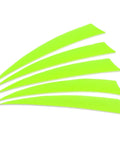 Fluorescent green turkey feather arrow vanes from 50 Pack 5 Inch Turkey Feather Arrow Vanes Right Wing Fletching Fluorescent Green For DIY Target Shooting And Practice Durable Easy To Use Vanes For Bow Hobbyists