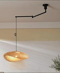Chandelier Adjustable Hanging Light Fixtures, Modern Swing Arm Pendant,1 Long for Dining Room Kitchen Island Matte Black Finish(23.6in) with woven shade.