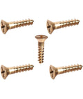 Silicon Bronze Flat Head Wood Screws Six By Seven Eighths Twenty Five Count Corrosion Resistant Fasteners arranged in a circle