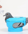 Pigeon Injection Holder And Fixed Frame Rack For Easy Feeding And Quick Observation with pigeon in blue holder being fed