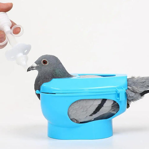 Pigeon Injection Holder And Fixed Frame Rack For Easy Feeding And Quick Observation with pigeon in blue holder being fed