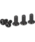 Solid As A Rock M2.5 Carbon Steel Button Head Socket Cap Screws 100 Pack displayed in a close-up view, showcasing black oxide finish.