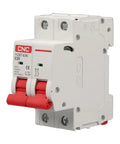 Front view of 63 Amp Two Pole DIN Rail Mount AC Circuit Breaker With Thermal Magnetic Trip 120V 240V Curve C Solar Disconnect MCB.