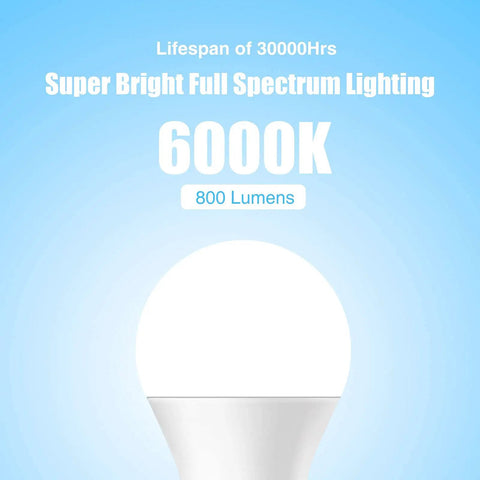 Natural Sunlight LED Bulbs 6000K Full Spectrum A19 9W 60W Equivalent E26 E27 Pack Of 3 For Home Use under 6000K, 800 lm text