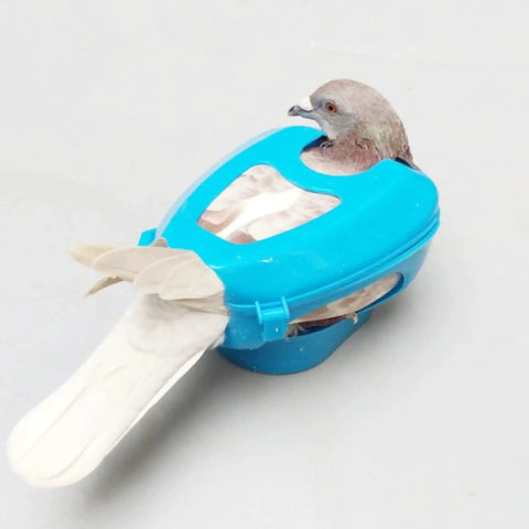 Durable Plastic Pigeon Holder For Feeding And Meds, Fixed Mount Bird Fixer Rack with pigeon inside, blue plastic design