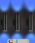 Remote Control RGB Color Changing Outdoor Wall Lights Sconces With RGBCCT Exterior Light Fixture A19 Bulbs Included shown with remote