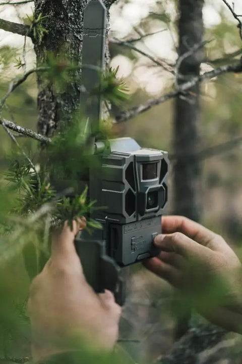 Hella Rugged Cellular LTE Trail Camera With Kick Ass Night Vision And Waterproof Build designed for wildlife tracking mounted on a tree.