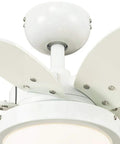 Close-up of 24 Inch Ceiling Fan With Light In White Finish, Dimmable LED Fixture, Opal Frosted Glass, Reversible White And Beech Blades