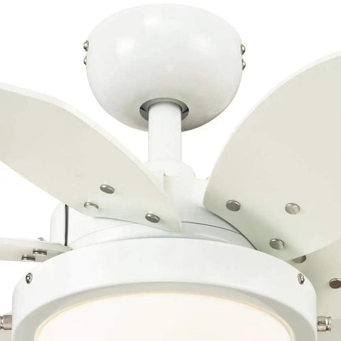 Close-up of 24 Inch Ceiling Fan With Light In White Finish, Dimmable LED Fixture, Opal Frosted Glass, Reversible White And Beech Blades