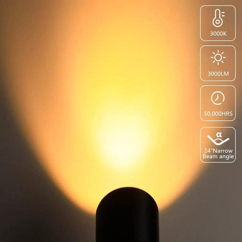 30W LED Landscape Spotlight 12V Low-Voltage Outdoor Lighting, 3000K Warm White, IP65 Waterproof, Ultra Narrow Beam, Ground, Wall Mount for Flag Poles, Trees, Patio, Garden, Pathway, 2 Pack