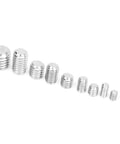 300 Pcs Stainless Steel Set Screws Kit With Hex Socket Headless Fasteners arranged by size