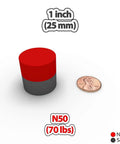 Beefy 70 Lb Pull Neodymium Cylinder Magnet 1 Inch Diameter By 1 Inch Height 25mm By 25mm next to a penny for size comparison