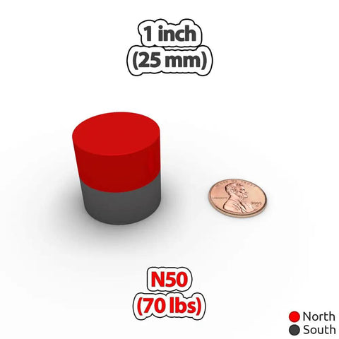 Beefy 70 Lb Pull Neodymium Cylinder Magnet 1 Inch Diameter By 1 Inch Height 25mm By 25mm next to a penny for size comparison