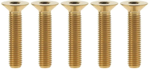 Top Notch Five Piece M6 Titanium Hex Socket Flat Countersunk Screw Set 25mm Long with rainbow finish for bike gear.