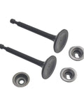 Two valves with retainers and seals from Beefed Up 22Lb Valve Spring Kit With Retainer And Lock For 196Cc 212Cc 224Cc Non Himi 5.5HP 6.5HP Honda GX200 GX160 OHV Clone Engines 208Cc Tillotson Go Kart OHV Racing Motor.