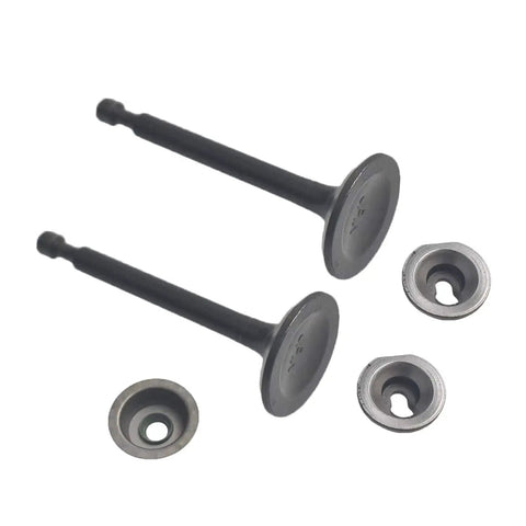 Two valves with retainers and seals from Beefed Up 22Lb Valve Spring Kit With Retainer And Lock For 196Cc 212Cc 224Cc Non Himi 5.5HP 6.5HP Honda GX200 GX160 OHV Clone Engines 208Cc Tillotson Go Kart OHV Racing Motor.