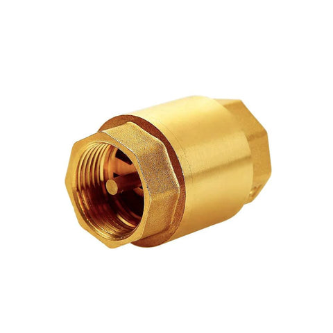 Brass 3/4-inch NPT female check valve for backflow prevention; one-way valve with threaded interior.