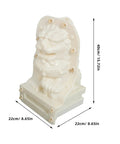 Dope Pair Chinese Lion Statue Molds for Cement or Plastic Casting Reusable Garden Guardian Lion Mold Easy to Use DIY Casting Kit