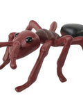 50 Live Native Western Harvester Ants With Life Cycle Figurines Included, Hands-On Ant Observation Kit For Kids And Classrooms, Educational Ant Farm Habitat Refill red ant figurine