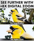 Comparison of a yellow bird using 10x magnification and 8x digital zoom