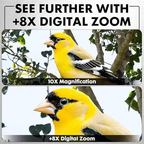 Comparison of a yellow bird using 10x magnification and 8x digital zoom