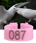 100 Pieces Pigeon Leg Bands 8mm Numbered Bird Leg Rings shown with two white doves