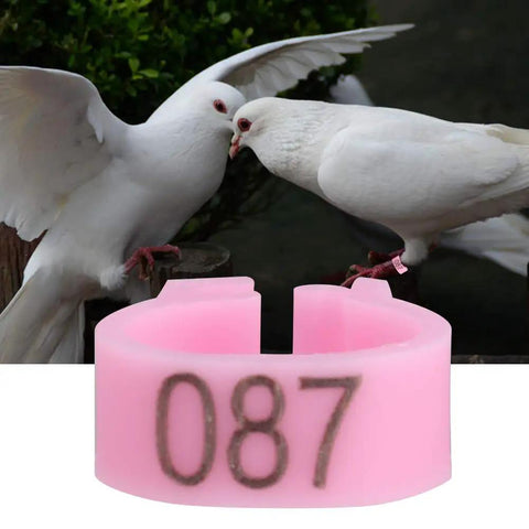 100 Pieces Pigeon Leg Bands 8mm Numbered Bird Leg Rings shown with two white doves