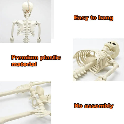 36 Inch Full Body Skeleton Prop With Movable Joints Realistic Plastic Bones For Indoor Outdoor Halloween Decor Haunt House Setup