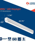 Two Foot LED Strip Light 1250 Lumens 4000K Cool White Ceiling Fixture For Kitchen And Garage 11W 80 CRI on blue background