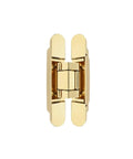 Brass door hinge with 180 degree swing and 120kg load capacity concealed recessed mount for thick solid doors no visible hardware and slot in install