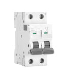 Rock Solid Miniature Circuit Breaker DC Double Pole Switch for electrical protection handling up to 63A at 500V.