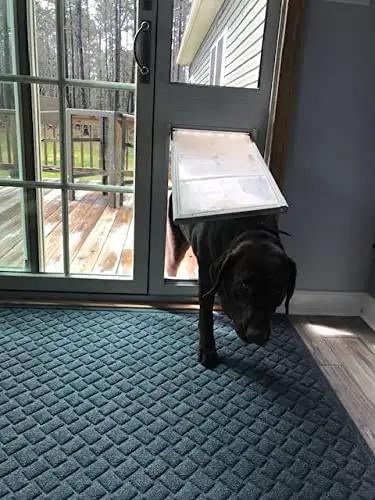 Dog using Premium Rock Solid Insulated Pet Door For Extreme Weather With Dual Pane Tempered Glass, framed in white.