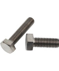 Two Hardcore Pure Titanium External Hex Bolts Built Different From Top Tier GR2 Alloy With Clean Bright Finish, DIN933 fasteners.
