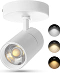 Three Color Temperature Dimmable Ceiling Spotlight Kit With Adjustable Directional LED Lights 20W 2000 Lumen in white.