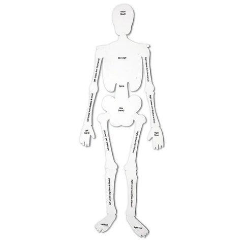 Hands On Skeleton Floor Puzzle for Classrooms and Home, A STEM Anatomy Activity With Fifteen Foam Bones, Double Sided With Labeled Bones