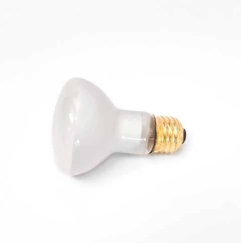 Side view of 100W Lava Lamp Light Bulb 125 Volt R Type R20 Medium Base for Lava Lamps Spas Pools and Home Lighting with Regular Screw In Socket