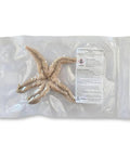 Preserved Northern Sea Star 5 To 8 Inch Formalin Specimen For Marine Biology Study And Anatomy Dissection In Classroom Labs