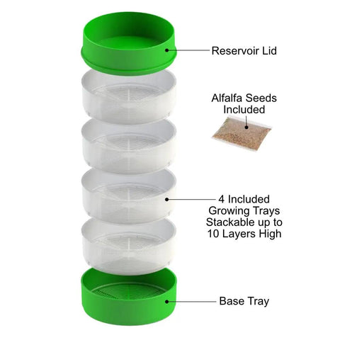 Deluxe Seed Sprouter With Four Growing Trays And Seed Packets For Indoor Sprouting Alfalfa Sprouts Fast No Soil Needed Water Flow System