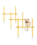 Dog jumping over 2.6 Ft Dog Agility Obstacle Course Backyard Set with wave poles and adjustable hurdles pack of 3 yellow for training.