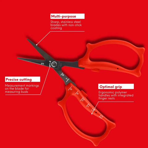 420 Trimming Scissors 6.1 Inch Garden Clippers with fine tip, nonstick blade, stainless steel, ergonomic PTR handles, and ruler.